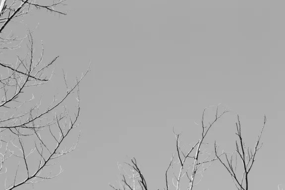 إكسكازينو كازينو الدعم